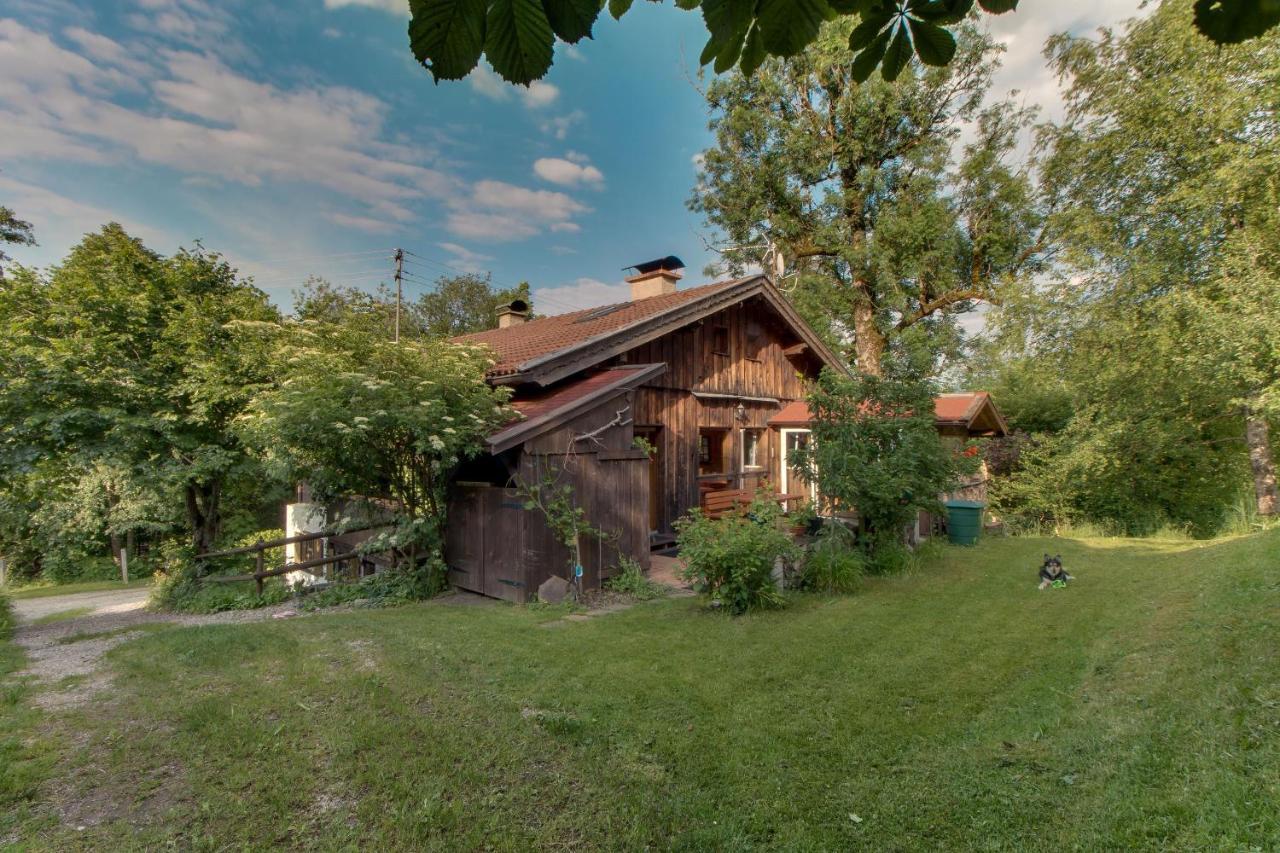 Ferienwohnung Schmidt - Natur Und Ruhe Schwaigen Eksteriør billede